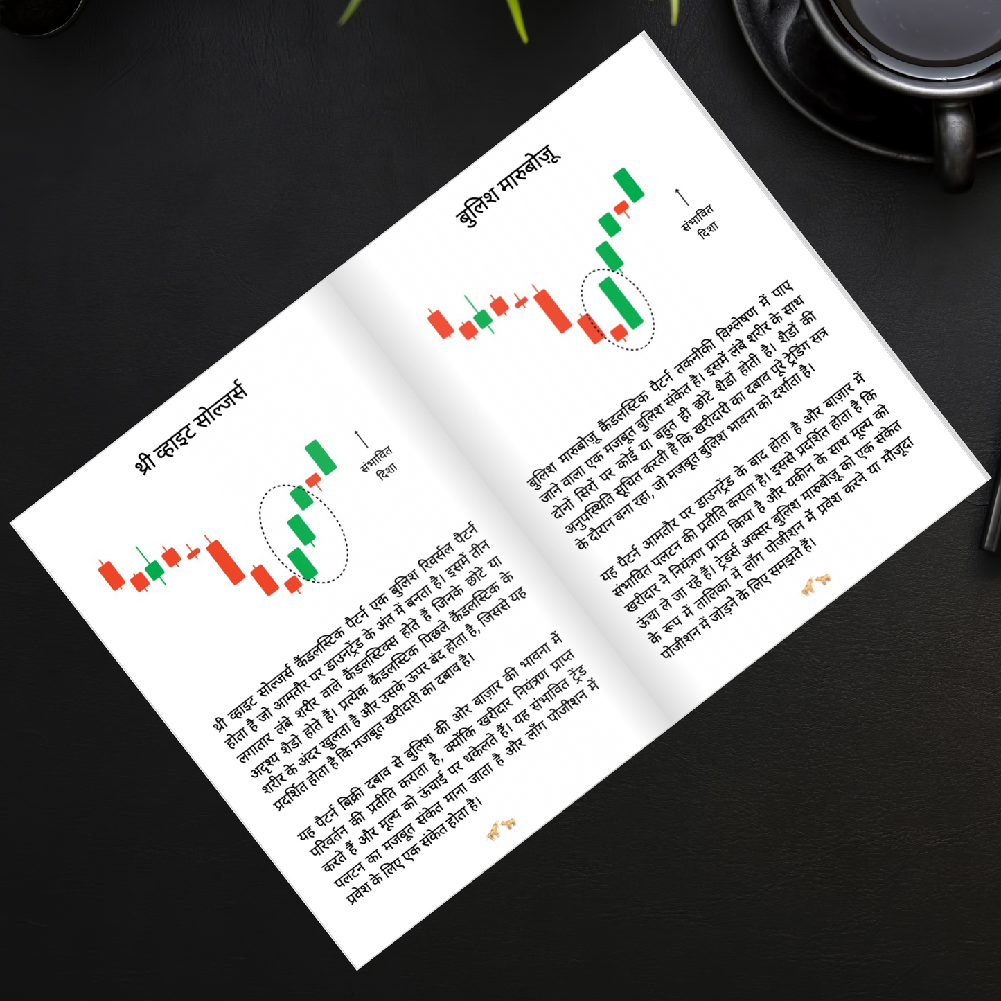 Candlestick and Chart Patterns Book in Hindi